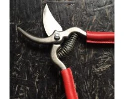 18 Cm Garden Shears - RED Leather Covering Branches -Sabatier 6d1696bee7835dd96f75f90fc20b01bf 30266 3 10281