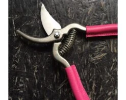 18 Cm Garden Shears - FUSHIA Leather Covering Branches 5 18 Cm Garden Shears - FUSHIA Leather Covering Branches -Sabatier 6d1696bee7835dd96f75f90fc20b01bf 30268 3 10278