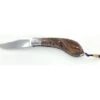Erwan Pincemin - New Hermine - Mosaïc Damas Bolster From Philippe Ricard - Iron Wood Handle