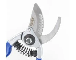 20 Cm Garden Shears - PVC Covering Branches 8 20 Cm Garden Shears - PVC Covering Branches -Sabatier 6d1696bee7835dd96f75f90fc20b01bf 371014 5998