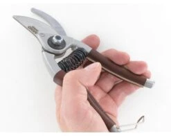 20 Cm Garden Shears - Leather Covering Branches -Sabatier 6d1696bee7835dd96f75f90fc20b01bf 371033 6007