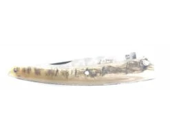 Le Thiers - Full Handle - Ram Horn - Chiseled Spring/Platinum And Blade -Sabatier 6d1696bee7835dd96f75f90fc20b01bf 58154 5 11978