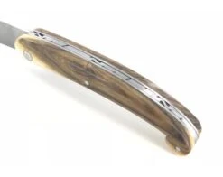 Saint Guilhem - Little Size - Pistachio Wood 8 Saint Guilhem - Little Size - Pistachio Wood -Sabatier 6d1696bee7835dd96f75f90fc20b01bf 81108 4 11917