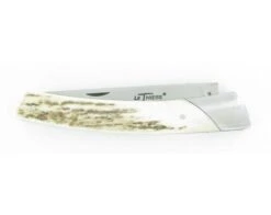 Compagnon Carbon STAG 8 Compagnon Carbon STAG -Sabatier 6d1696bee7835dd96f75f90fc20b01bf chambriard2010154204 4669