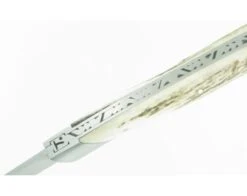 Compagnon Carbon STAG 9 Compagnon Carbon STAG -Sabatier 6d1696bee7835dd96f75f90fc20b01bf chambriard2010154205 4670