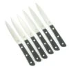 Sabatier SET OF 6 TABLE KNIVES - 4 In - G10 Handle - 200 Range